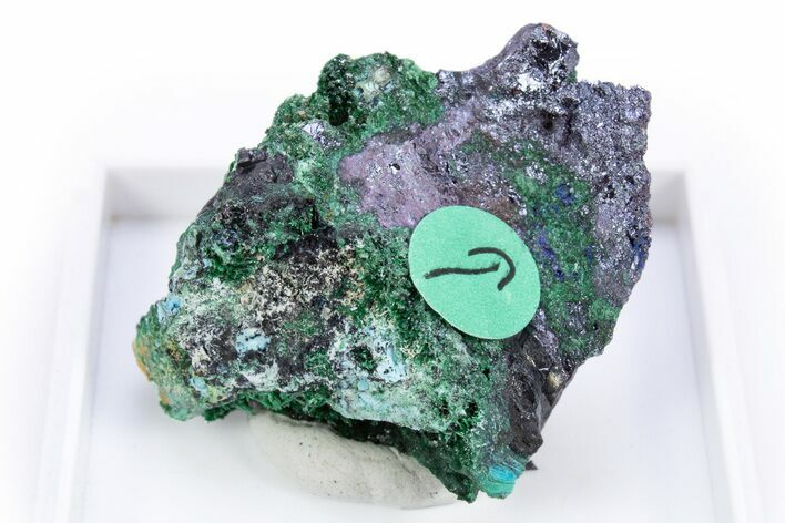 Rare Blue Buttgenbachite w/ Malachite & Cuprite - DR Congo #305422